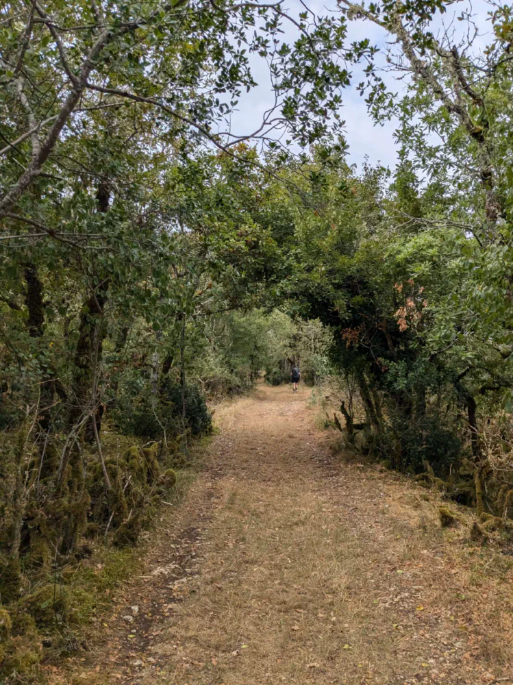 Goin' up that hill