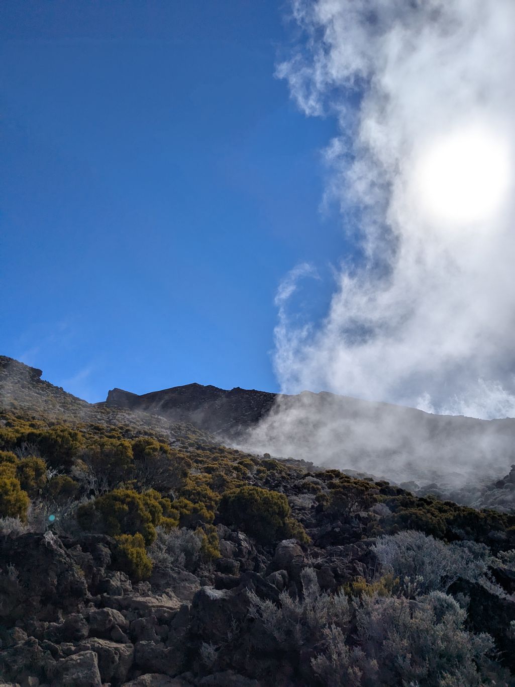 an image from this adventure