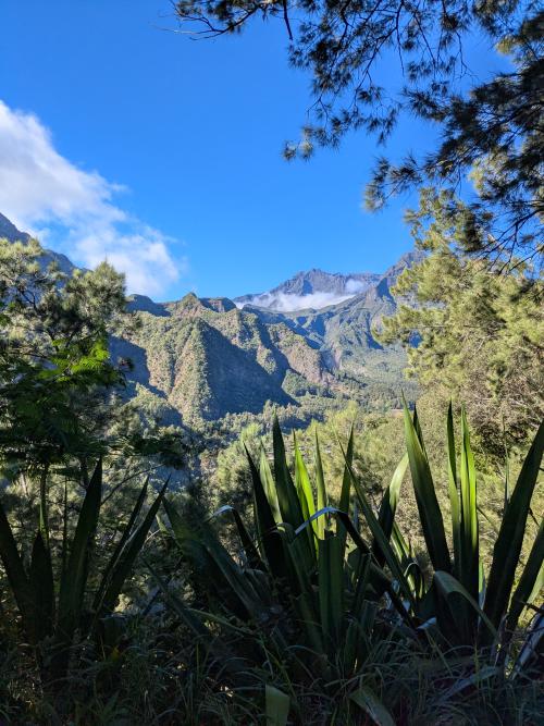 /adventures/a-louest-des-mascareignes/de-la-rivi%C3%A8re-%C3%A0-la-grand-place/8d538979-6c62-4ae2-bdc8-69a4f1c878ba_hu3304824642057651739.jpg