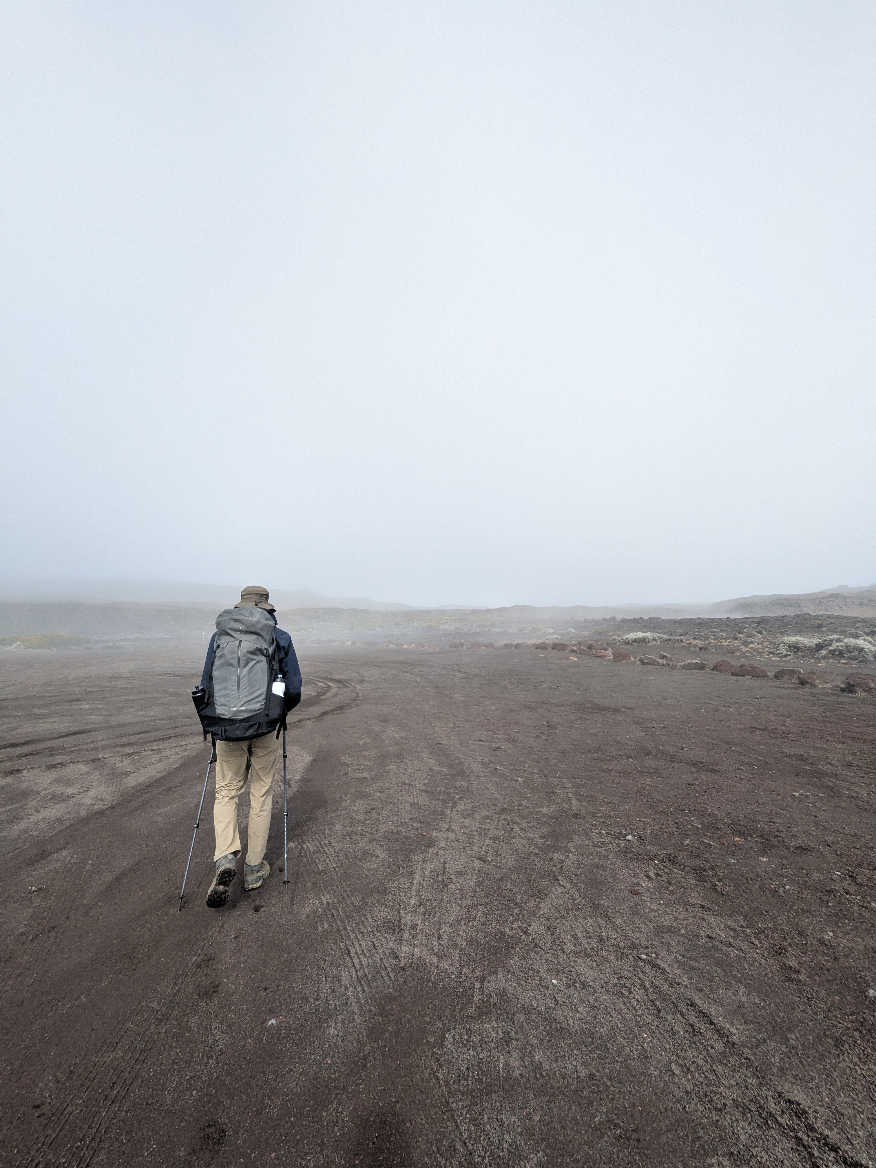 an image from this adventure