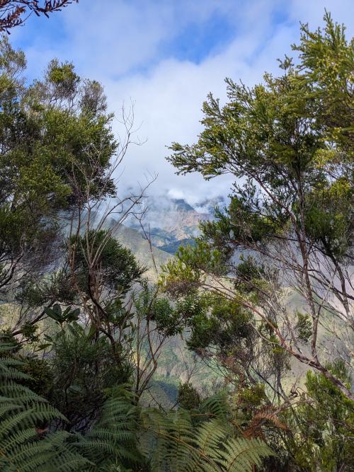 /adventures/a-louest-des-mascareignes/sous-le-brouillard-la-pluie/23cbd161-d880-4c81-af8e-23af50c7f076_hu8073993914961722117.jpg