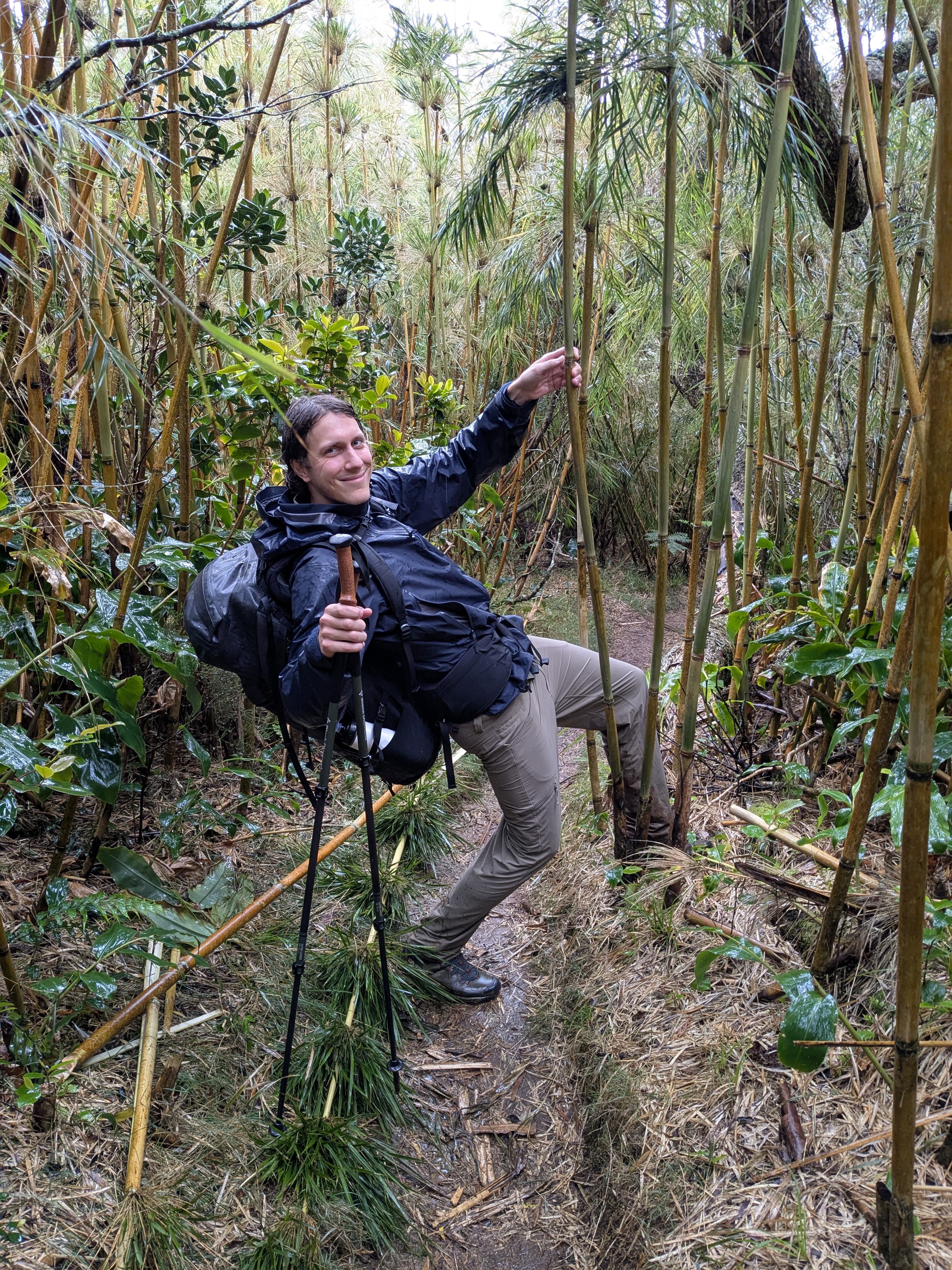 an image from this adventure