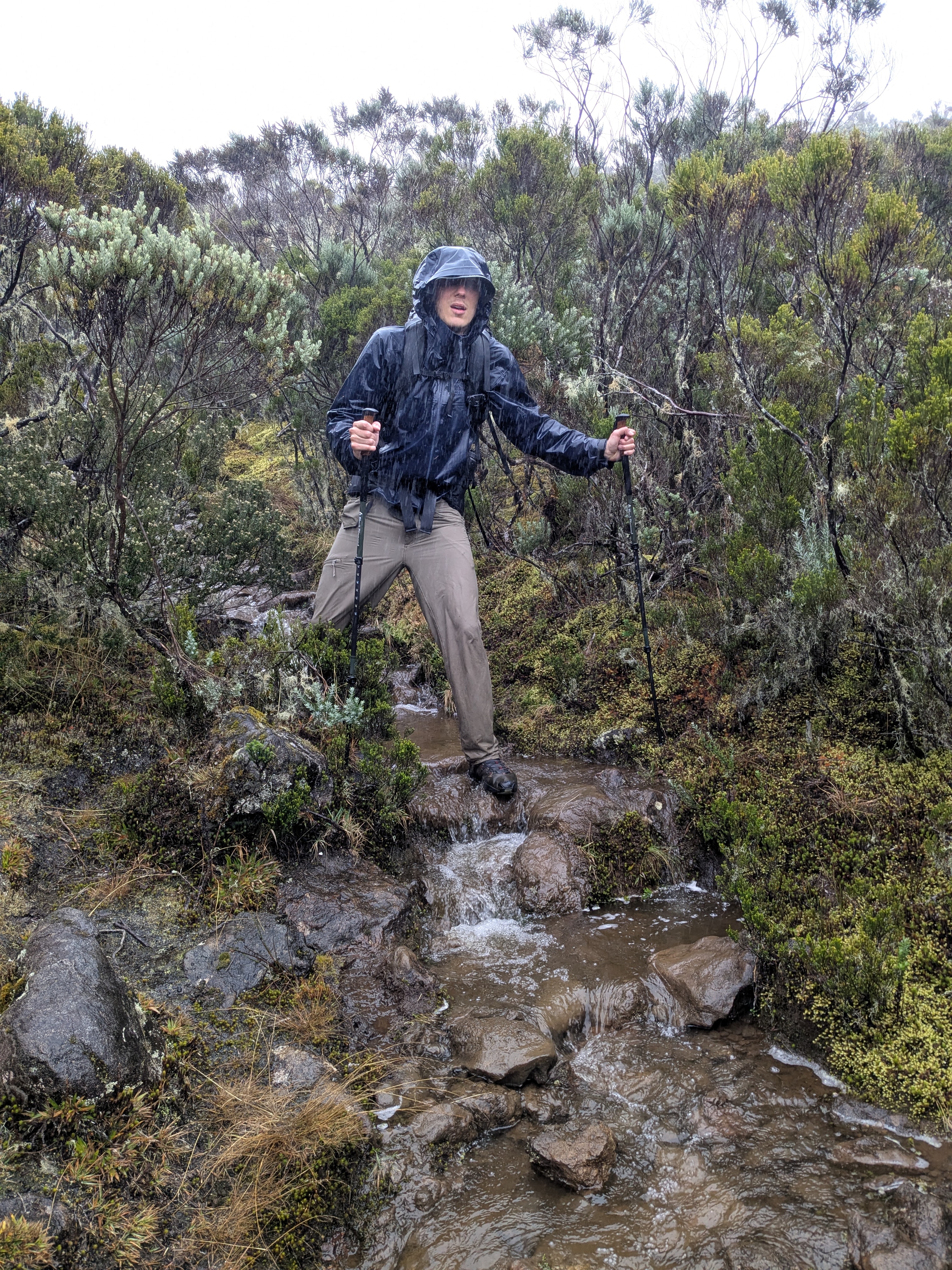 an image from this adventure