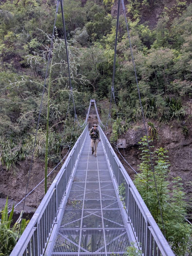 An image of this adventure