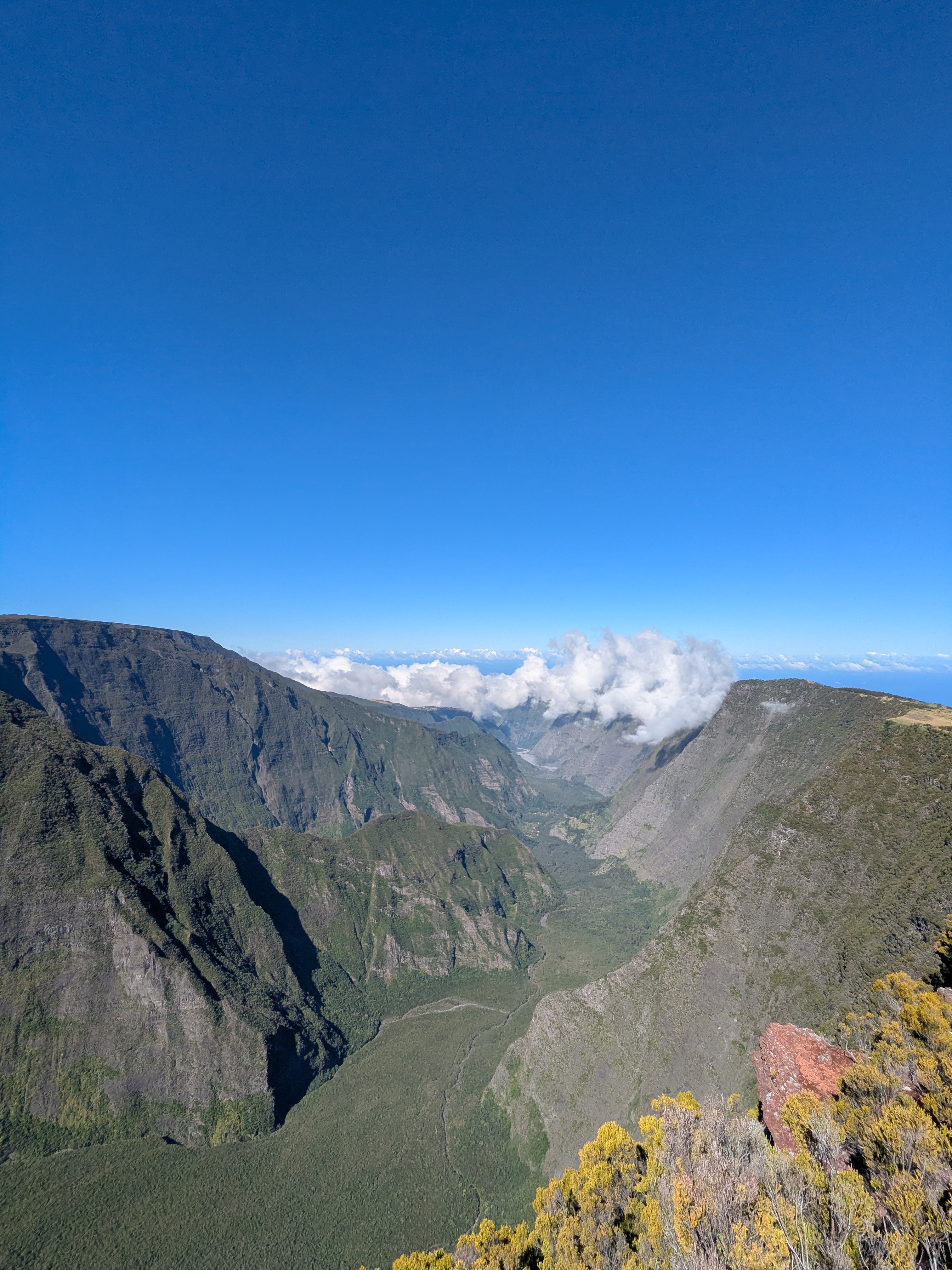 an image from this adventure