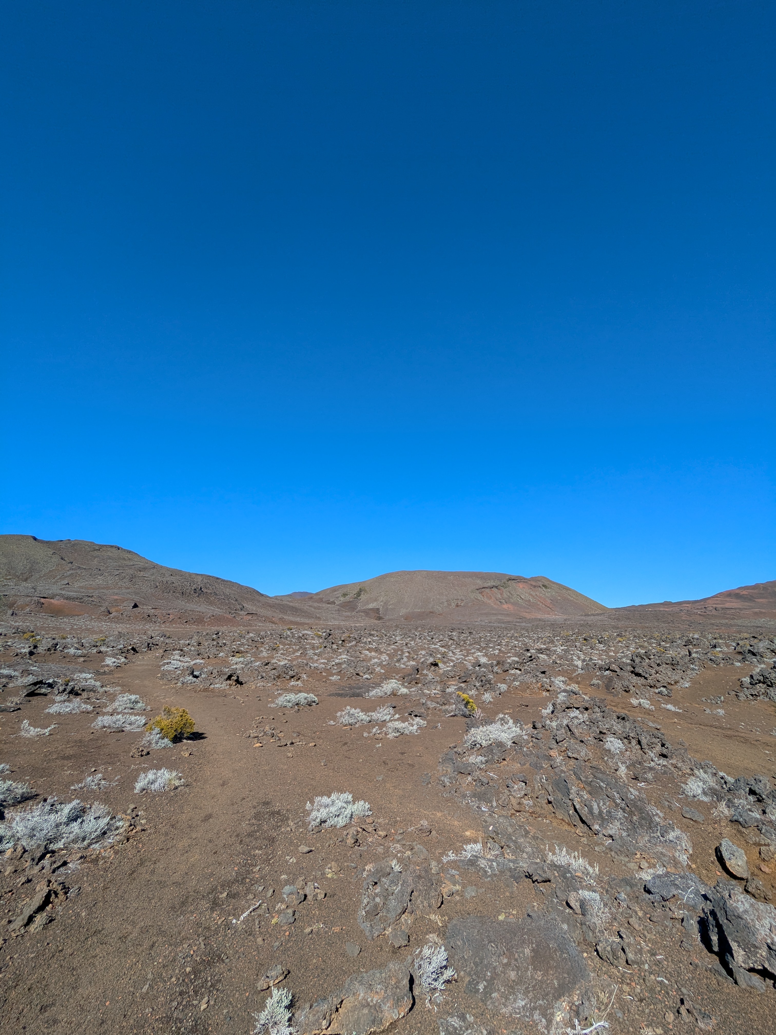 an image from this adventure