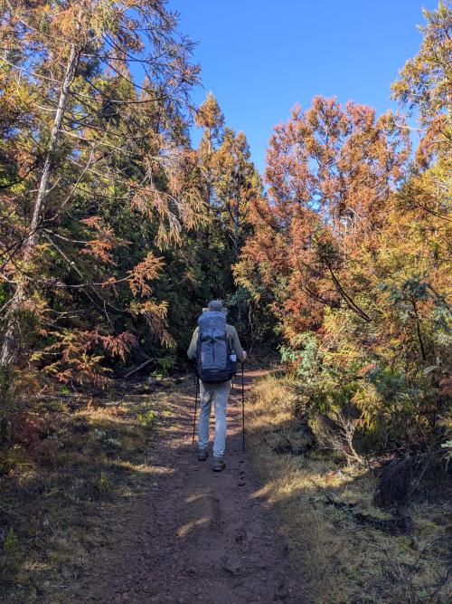 /adventures/a-louest-des-mascareignes/vers-un-nouveau-piton/b8a5364e-e18a-4c11-9468-fc96f21b7de7_hu9887278028267062144.jpg